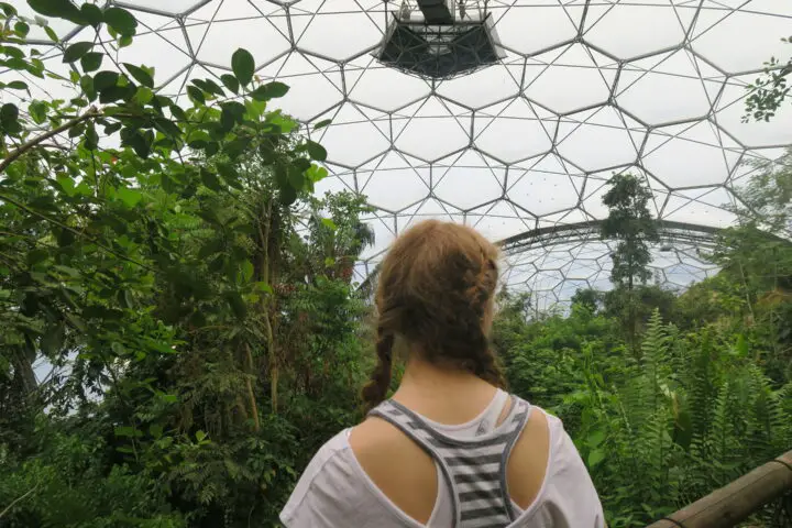 Blick über die Baumwipfel des Tropenwalds im Eden Project